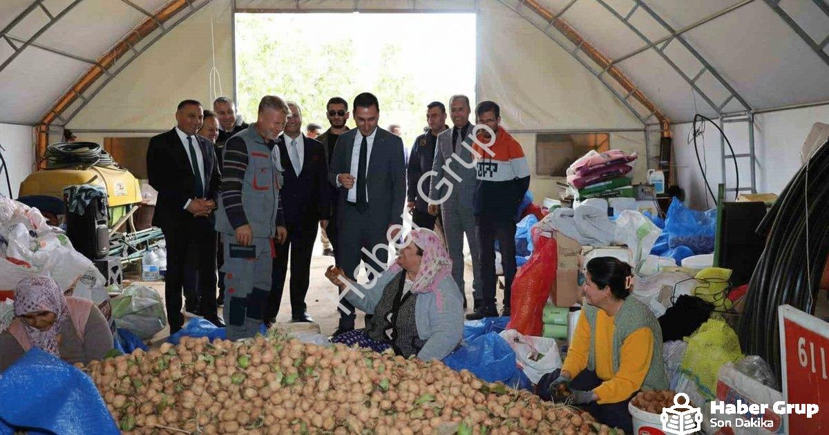"Dinar’da ceviz mesaisi başladı: Üreticinin yüzü gülüyor" başlıklı haber için fotorealistik, profesy
