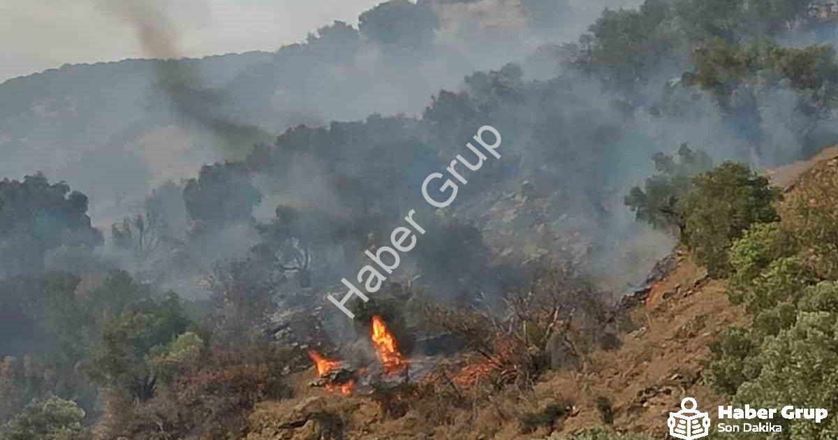 "Aydın Bozdoğan'da Korkutan Orman Yangını: Ekipler Seferber Oldu" başlıklı haber için fotorealistik,