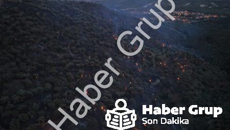 Aydın Bozdoğan’daki Orman Yangını Büyük Ölçüde Kontrol Altına Alındı
