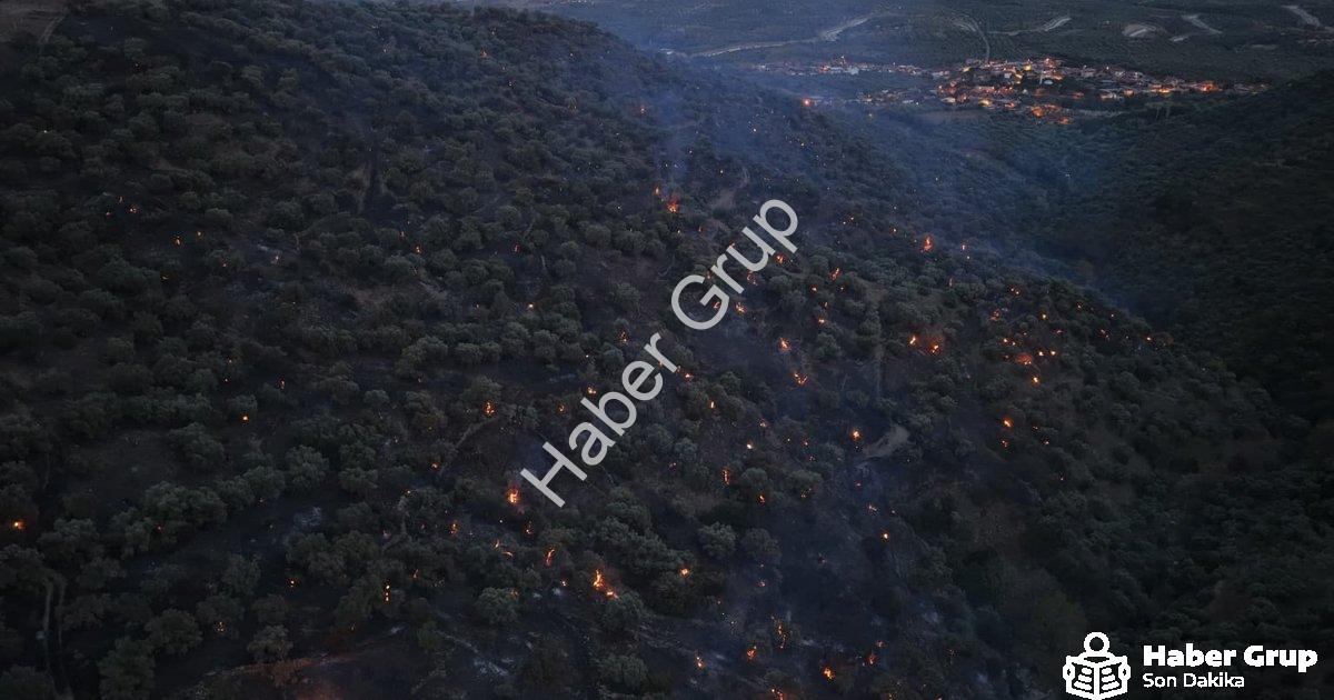 "Aydın Bozdoğan'daki Orman Yangını Büyük Ölçüde Kontrol Altına Alındı" başlıklı haber için fotoreali