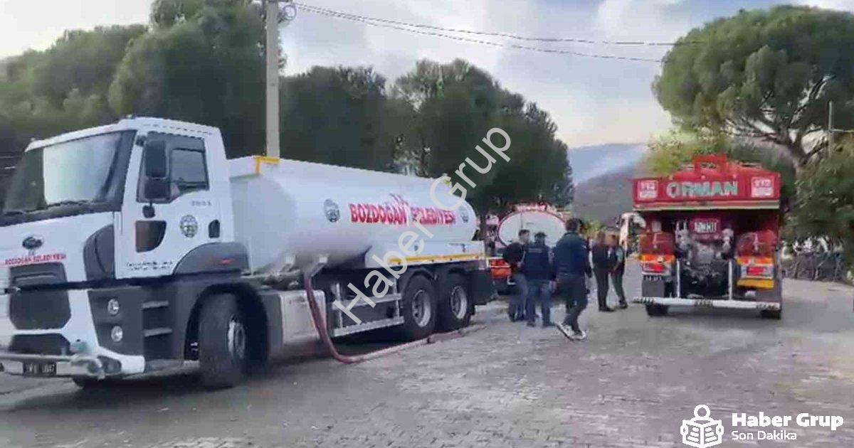 "Aydın Bozdoğan'da Korkutan Yangın: Alevler Rüzgarla Ormana Sıçradı" başlıklı haber için fotorealist