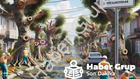 Afyonkarahisar’da Cumhuriyet Mahallesi için ağaç budama uyarısı