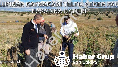 Dumlupınar Kaymakamı Teltik Şeker Pancarı Hasadına Katıldı