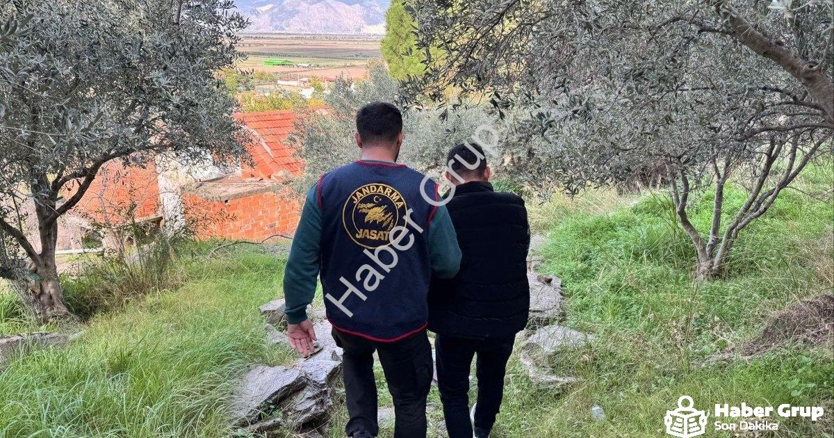 "Aydın Söke'de Film Gibi Operasyon: Firari Şüpheli Ormanda Yakalandı" başlıklı haber için fotorealis