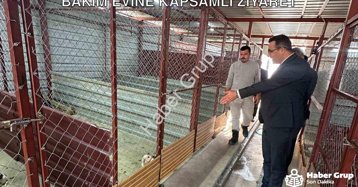 "Sarıgöl Kaymakamı Halil Dalak'tan Hayvan Bakım Evine Kapsamlı Ziyaret" başlıklı haber için fotoreal