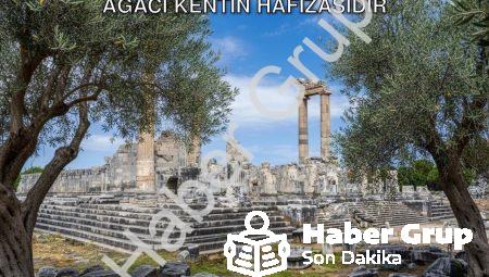 Didim Belediye Başkanı Gençay: Zeytin Ağacı Kentin Hafızasıdır