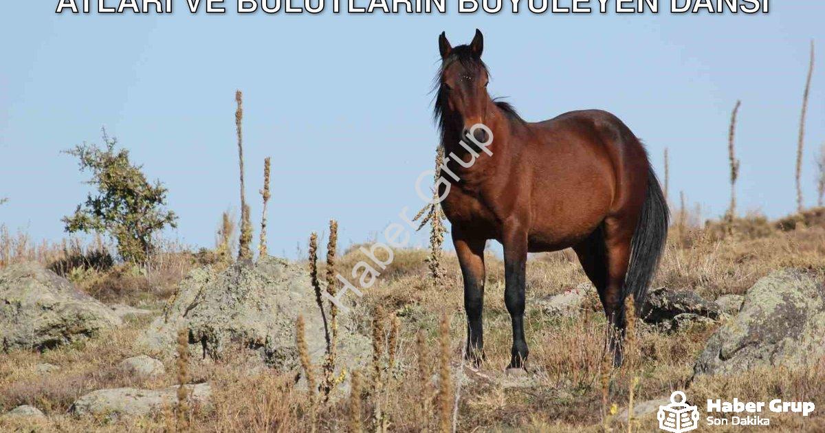 "Afyonkarahisar Kumalar Dağı'nda Yılkı Atları ve Bulutların Büyüleyen Dansı" başlıklı haber için fot