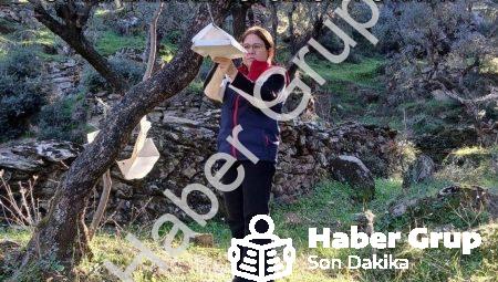 Söke’de Tarımsal Üretim İçin Kritik Uyarı: Zararlı Popülasyonu Arttı