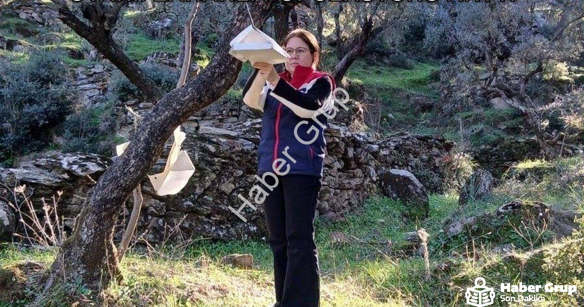 "Söke'de Tarımsal Üretim İçin Kritik Uyarı: Zararlı Popülasyonu Arttı" başlıklı haber için fotoreali