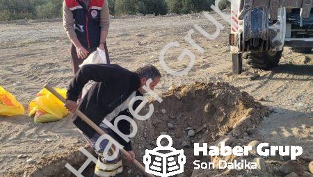 Buharkent’te İlek Bahçesi Projesi Büyüyor: Toprak Analizi Yapıldı