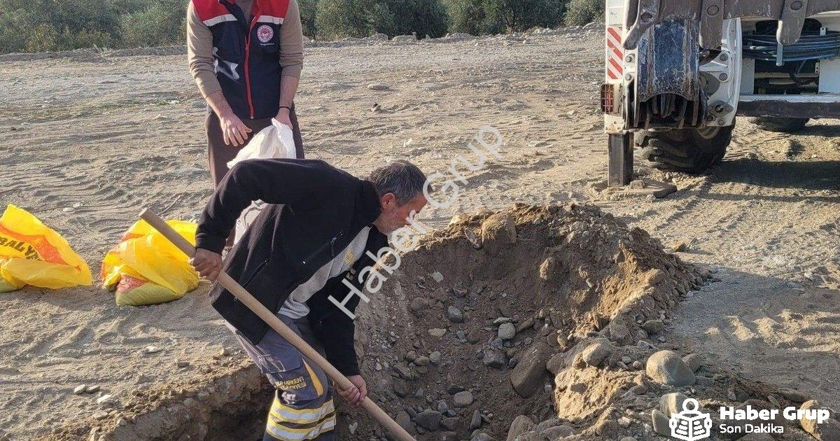 "Buharkent'te İlek Bahçesi Projesi Büyüyor: Toprak Analizi Yapıldı" başlıklı haber için fotorealisti