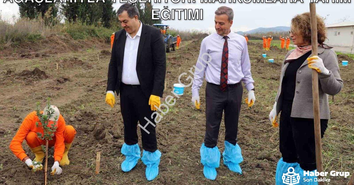 "Dalaman'da Cezaevi Arazisi Sakız Ağaçlarıyla Yeşeriyor: Mahkumlara Tarım Eğitimi" başlıklı haber iç