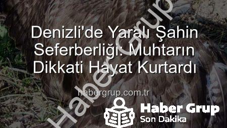 Denizli’de Yaralı Şahin Seferberliği: Muhtarın Dikkati Hayat Kurtardı