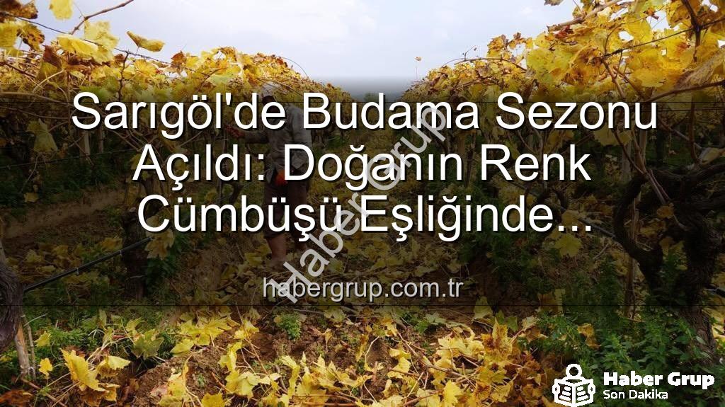 Sarıgöl üzüm bağları - Sarıgöl'de Budama Sezonu Açıldı: Doğanın Renk Cümbüşü Eşliğinde Üreticilerin Yeni Mesaisi