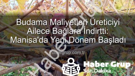 Budama Maliyetleri Üreticiyi Ailece Bağlara İndirtti: Manisa’da Yeni Dönem Başladı