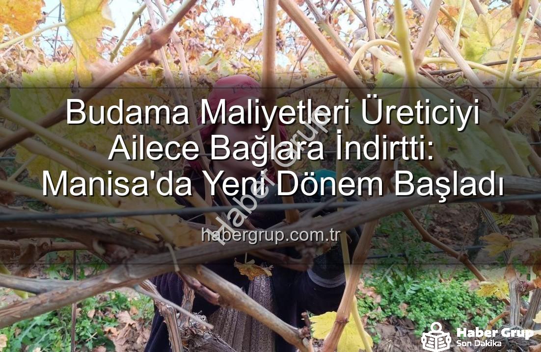 budama maliyeti - Budama Maliyetleri Üreticiyi Ailece Bağlara İndirtti: Manisa'da Yeni Dönem Başladı