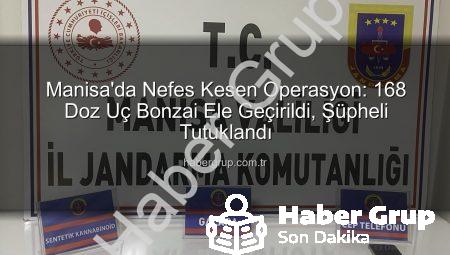 Manisa’da Nefes Kesen Operasyon: 168 Doz Uç Bonzai Ele Geçirildi, Şüpheli Tutuklandı