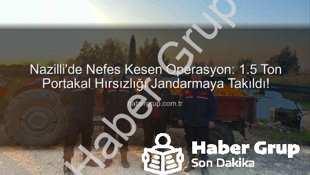 Nazilli’de Nefes Kesen Operasyon: 1.5 Ton Portakal Hırsızlığı Jandarmaya Takıldı!