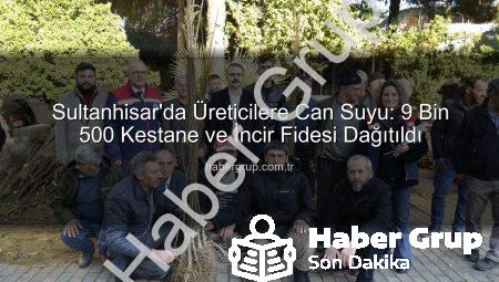 Sultanhisar’da Üreticilere Can Suyu: 9 Bin 500 Kestane ve İncir Fidesi Dağıtıldı