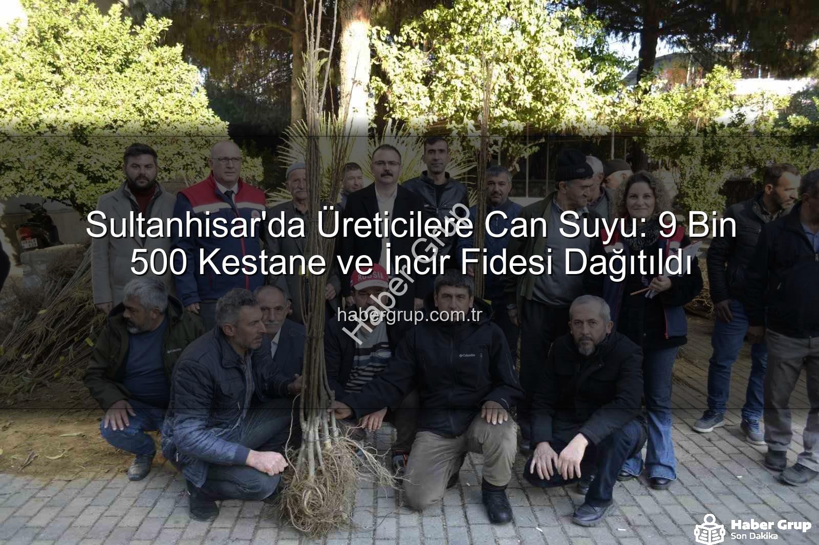 Sultanhisar fidan dağıtımı - Sultanhisar'da Üreticilere Can Suyu: 9 Bin 500 Kestane ve İncir Fidesi Dağıtıldı