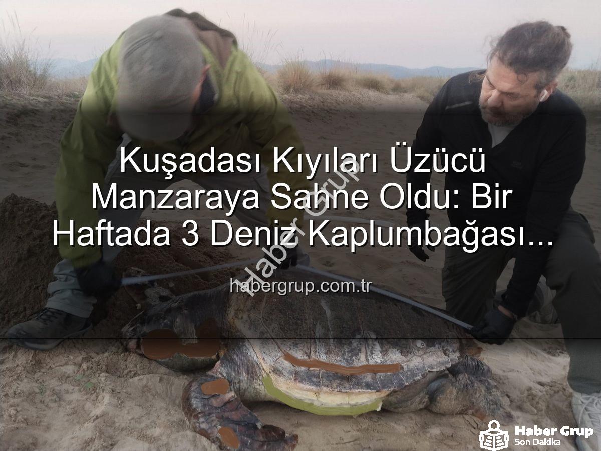 deniz kaplumbağası ölümleri - Kuşadası Kıyıları Üzücü Manzaraya Sahne Oldu: Bir Haftada 3 Deniz Kaplumbağası Ölü Bulundu