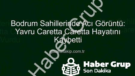 Bodrum Sahillerinde Tüyler Ürperten Keşif: Yavru Caretta Caretta Hayatını Kaybetti