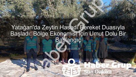 Yatağan’da Zeytin Hasadı Bereket Duasıyla Başladı: Bölge Ekonomisi İçin Umut Dolu Bir Başlangıç