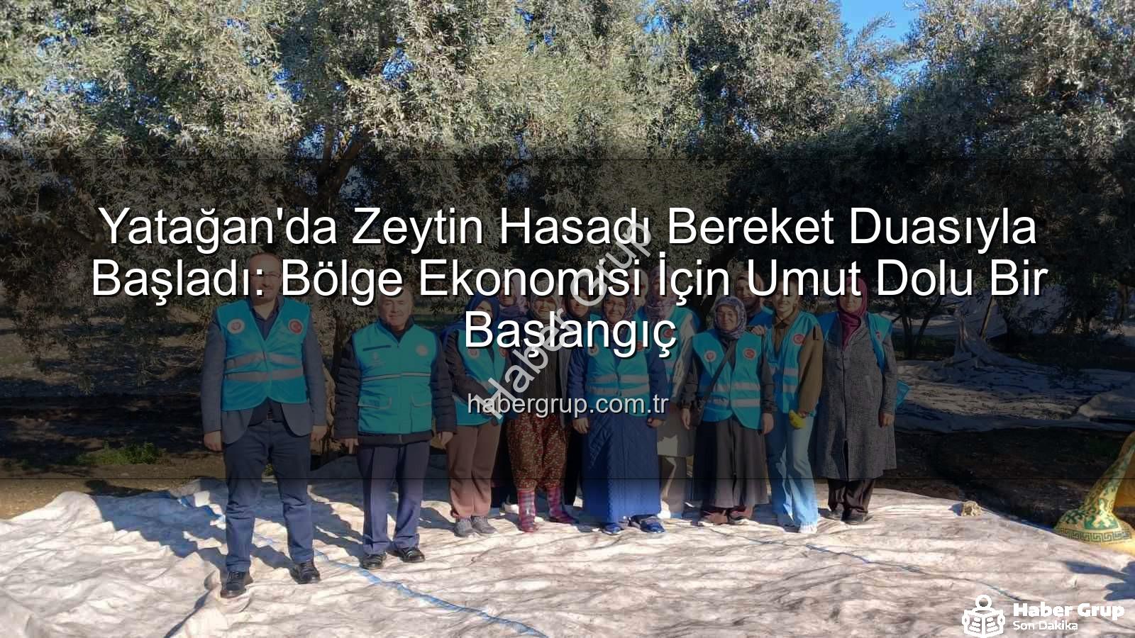 Yatağan zeytin hasadı - Yatağan'da Zeytin Hasadı Bereket Duasıyla Başladı: Bölge Ekonomisi İçin Umut Dolu Bir Başlangıç