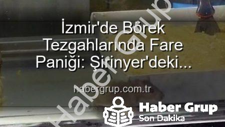 İzmir’de Börek Tezgahlarında Fare Paniği: Şirinyer’deki İşletmeye Mühür Vuruldu