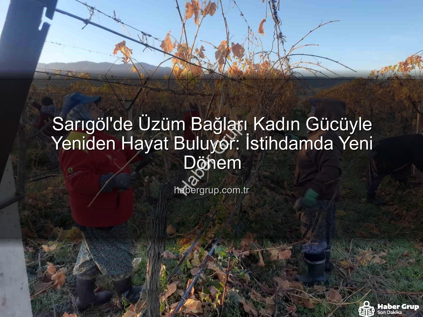 kadın istihdamı - Sarıgöl'de Üzüm Bağları Kadın Gücüyle Yeniden Hayat Buluyor: İstihdamda Yeni Dönem