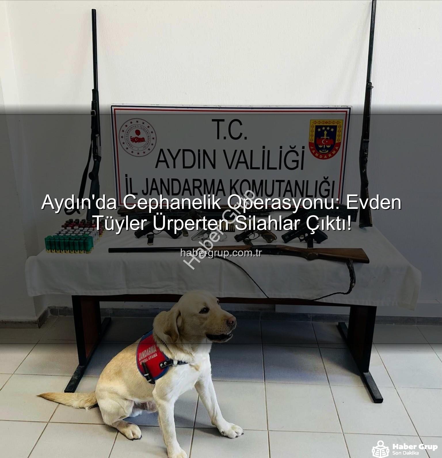 ruhsatsız silah - Aydın'da Cephanelik Operasyonu: Evden Tüyler Ürperten Silahlar Çıktı!