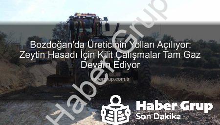 Bozdoğan’da Üreticinin Yolları Açılıyor: Zeytin Hasadı İçin Kilit Çalışmalar Tam Gaz Devam Ediyor