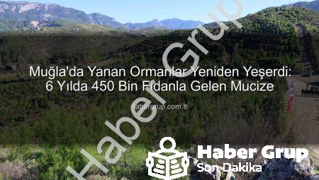 Muğla’da Yanan Ormanlar Yeniden Yeşerdi: 6 Yılda 450 Bin Fidanla Gelen Mucize