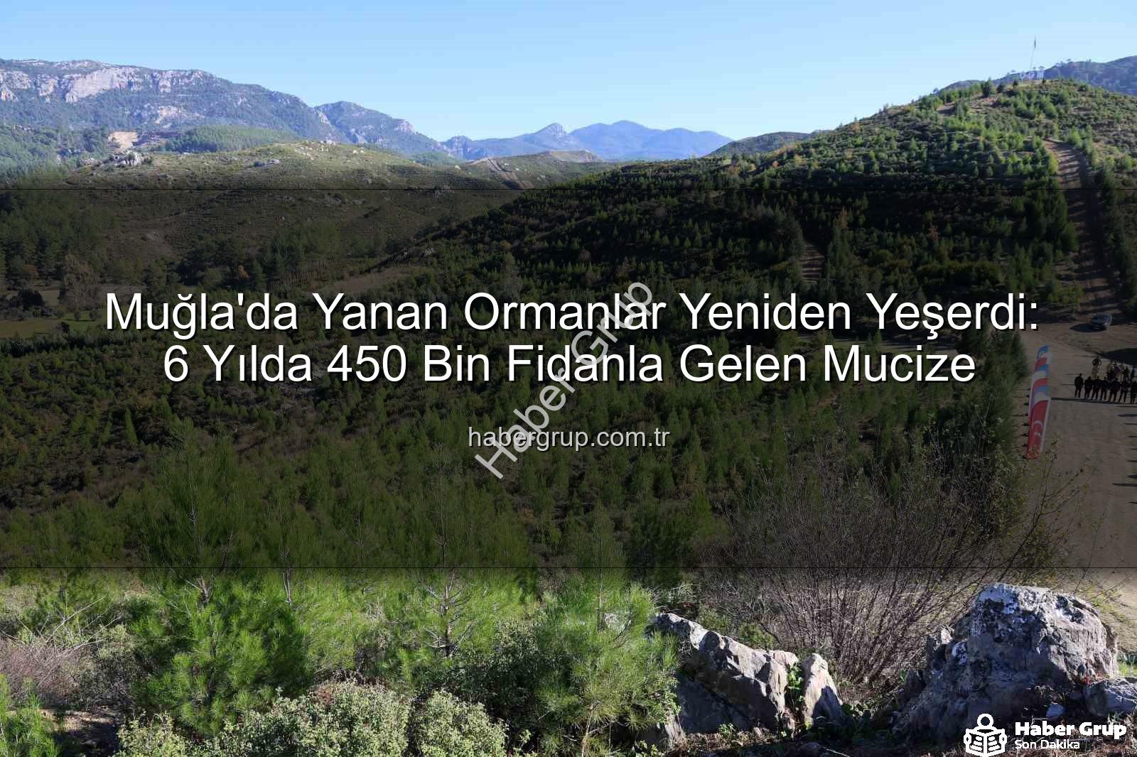 orman yeniden ağaçlandırma - Muğla'da Yanan Ormanlar Yeniden Yeşerdi: 6 Yılda 450 Bin Fidanla Gelen Mucize