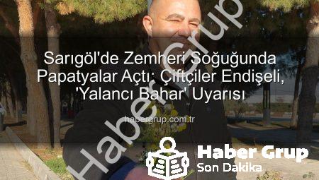 Sarıgöl’de Zemheri Soğuğunda Papatyalar Açtı: Çiftçiler Endişeli, ‘Yalancı Bahar’ Uyarısı